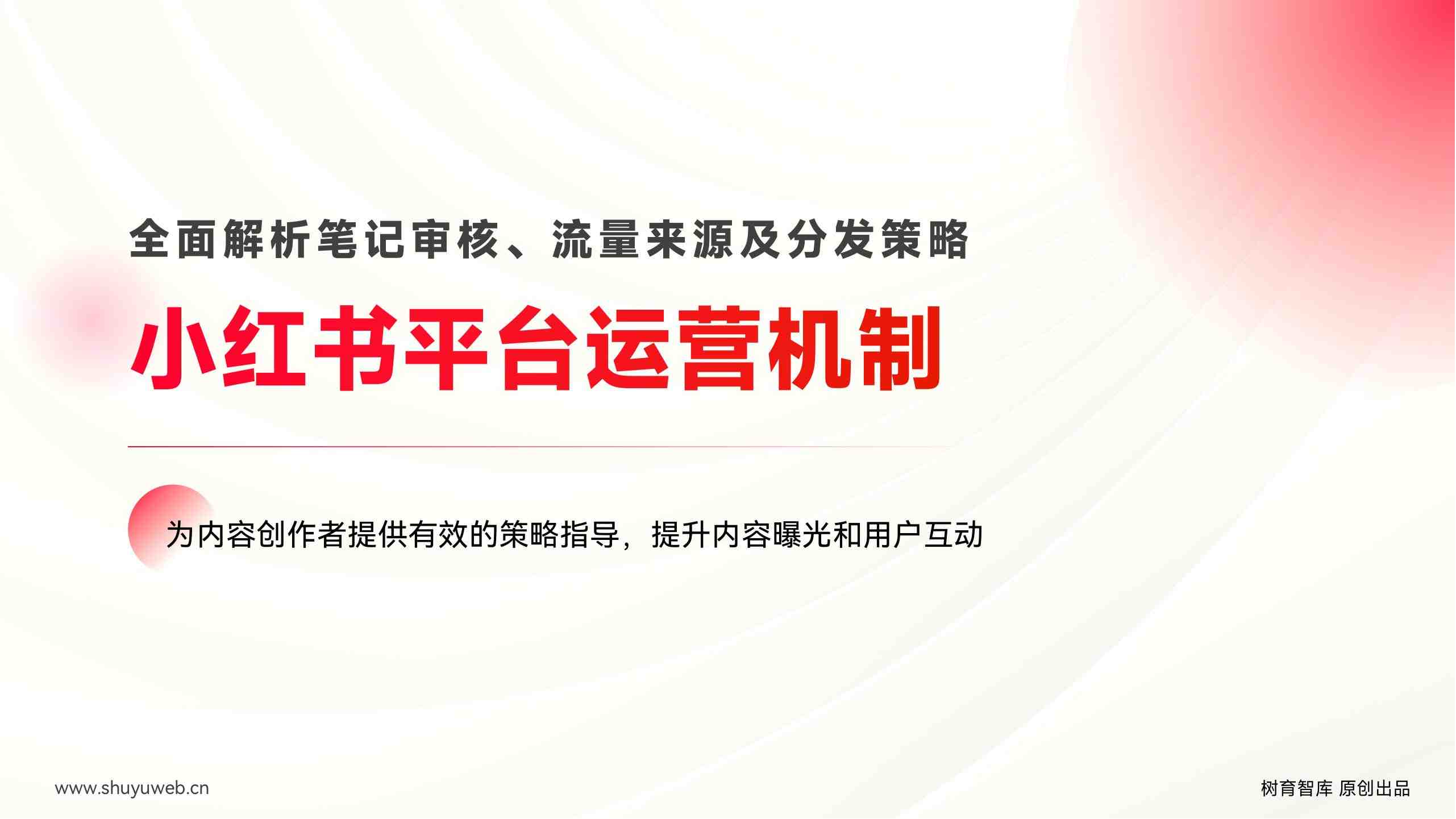 小红书平台运营机制